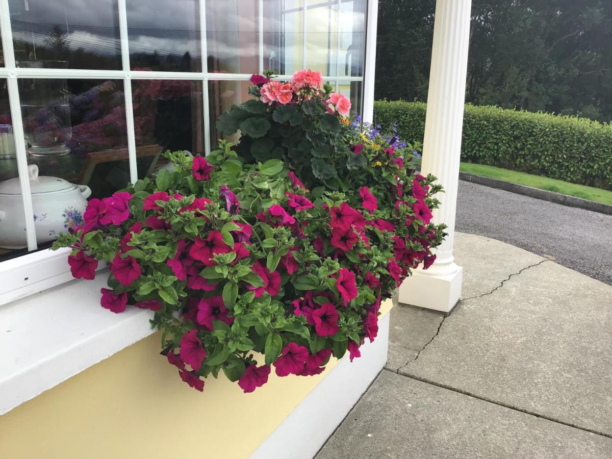 Bed and Breakfast Oakfield Kenmare Exterior foto