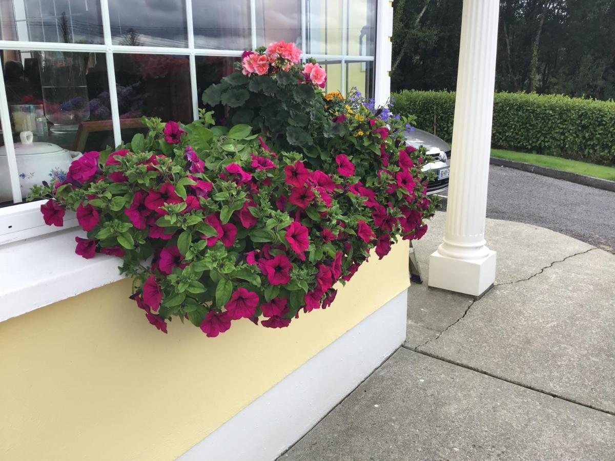 Bed and Breakfast Oakfield Kenmare Exterior foto
